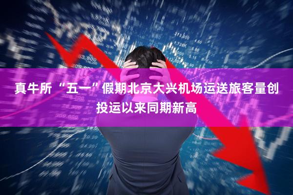 真牛所 “五一”假期北京大兴机场运送旅客量创投运以来同期新高