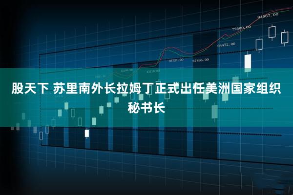 股天下 苏里南外长拉姆丁正式出任美洲国家组织秘书长