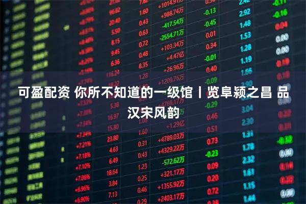 可盈配资 你所不知道的一级馆丨览阜颍之昌 品汉宋风韵