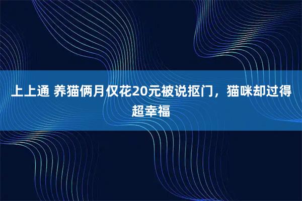 上上通 养猫俩月仅花20元被说抠门，猫咪却过得超幸福